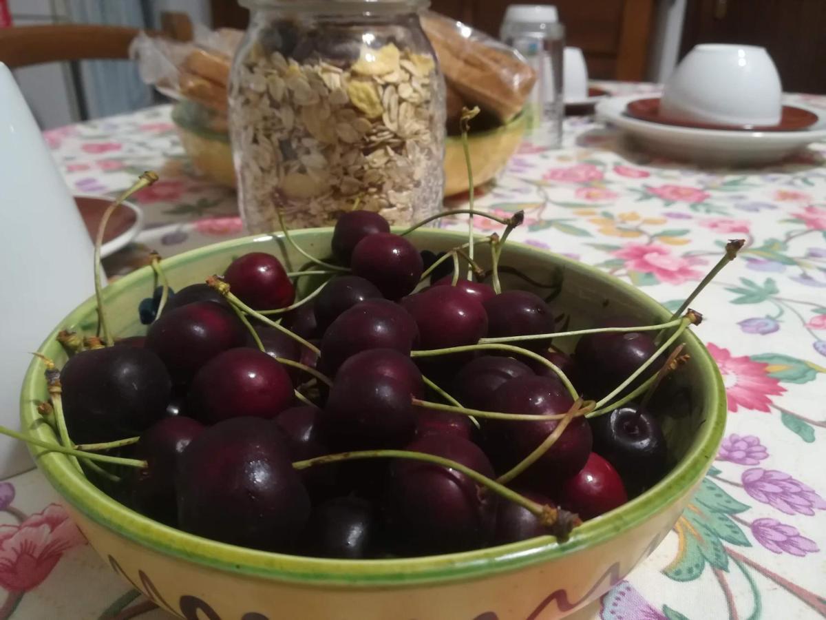 A Casa Di Carla B&B San Raffaele Cimena Dış mekan fotoğraf
